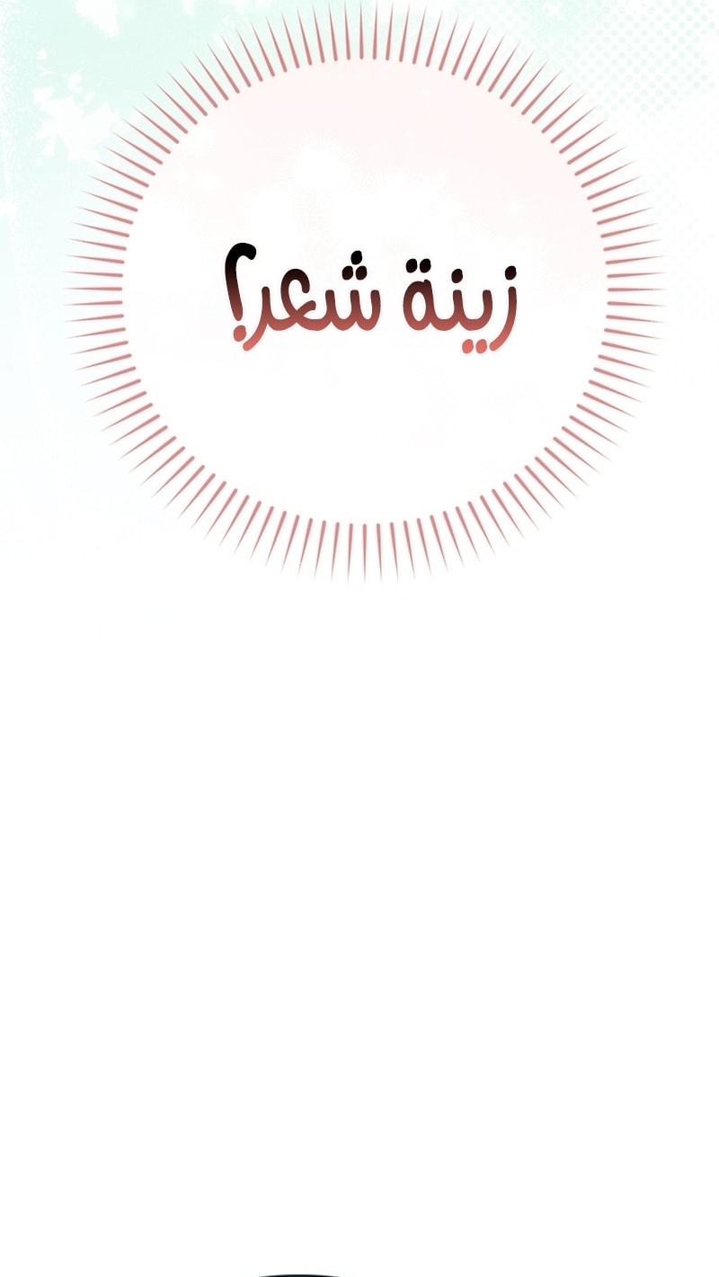 الصفحة 29