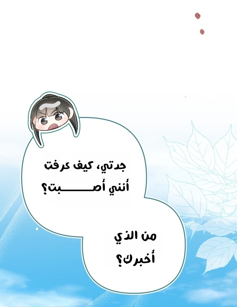 الصفحة 45