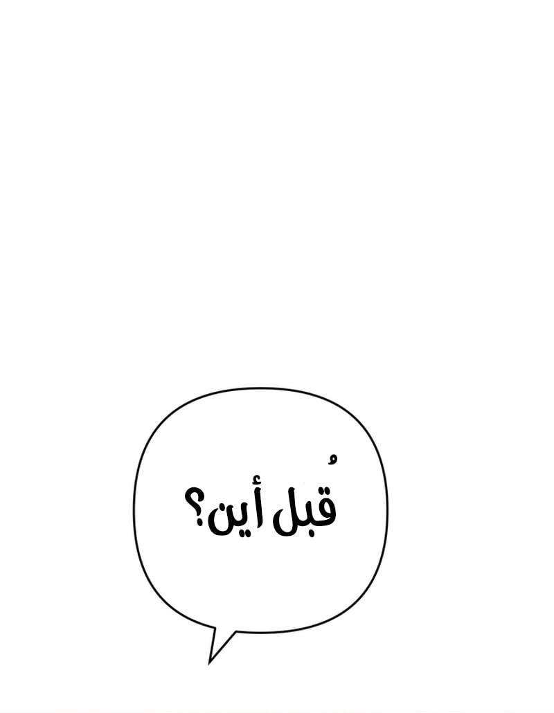 الصفحة 48