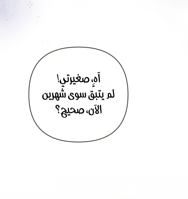 الصفحة 54