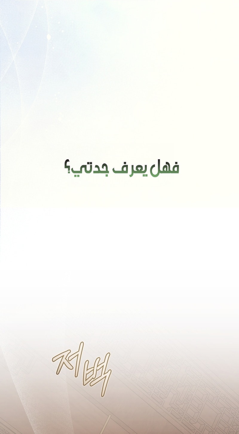 الصفحة 63