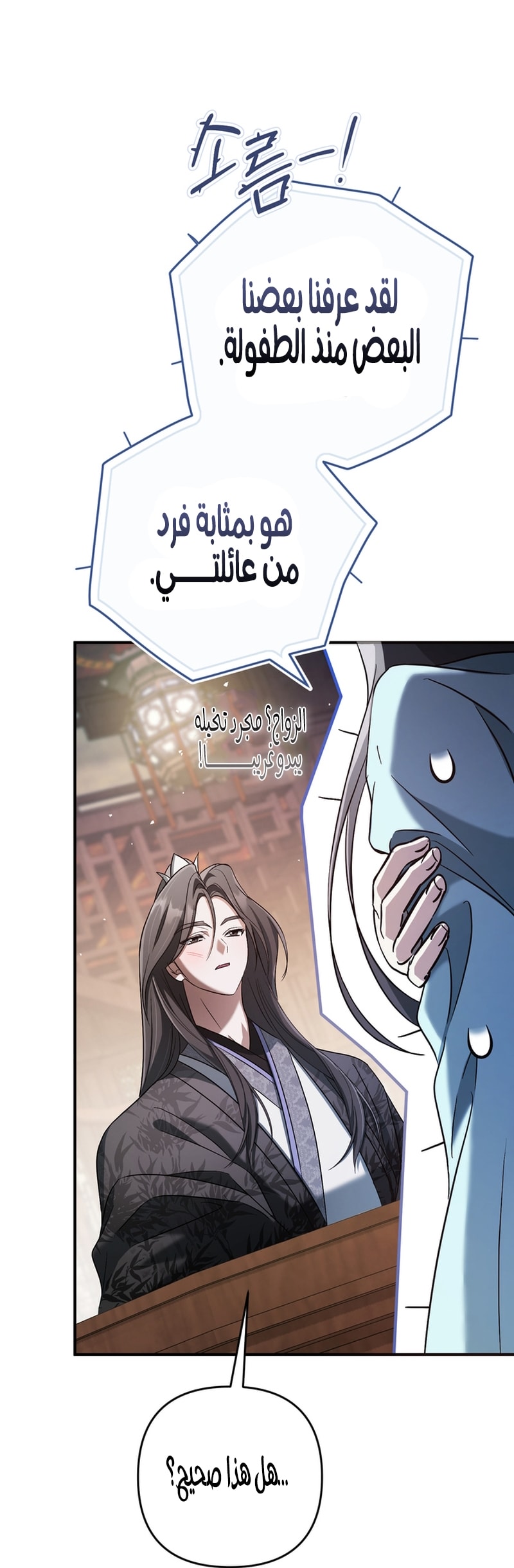 الصفحة 28