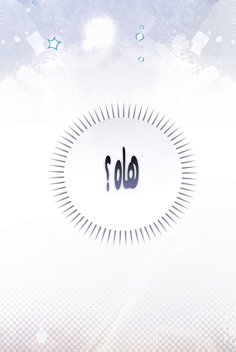 الصفحة 40