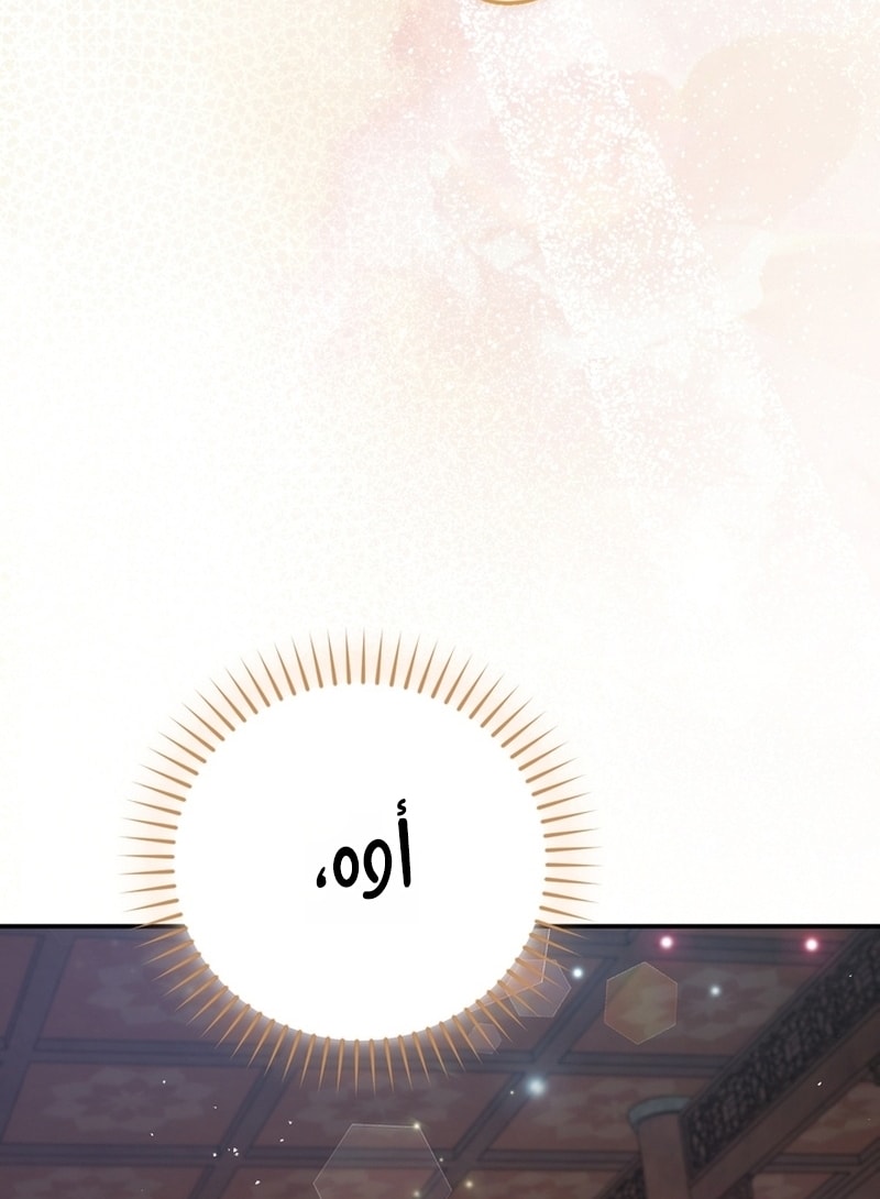 الصفحة 24