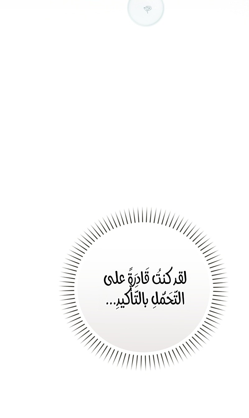 الصفحة 68