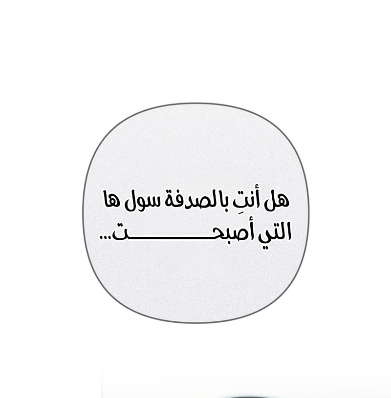 الصفحة 24