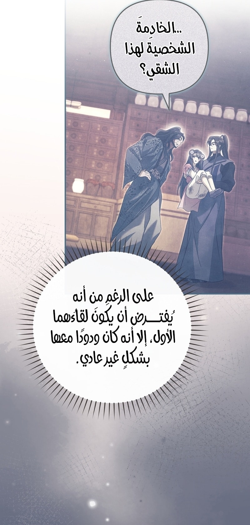 الصفحة 25