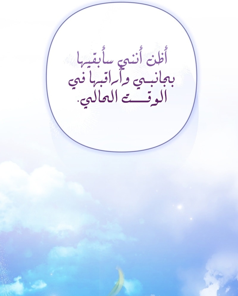 الصفحة 42