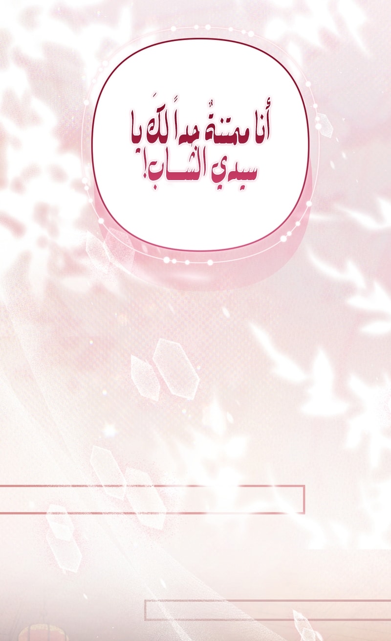 الصفحة 31