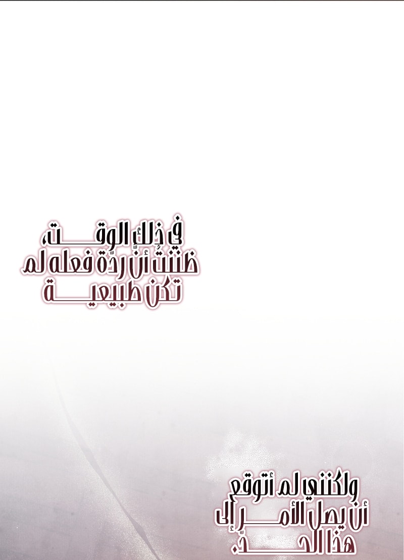 الصفحة 48