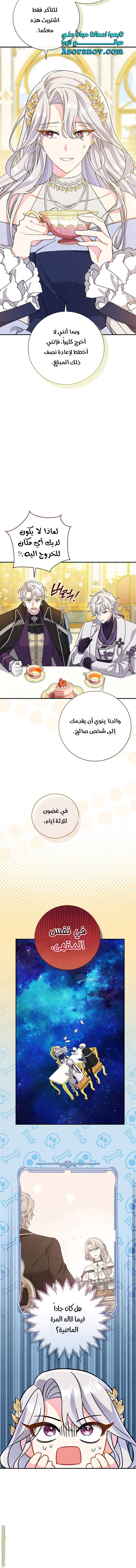 الصفحة 17