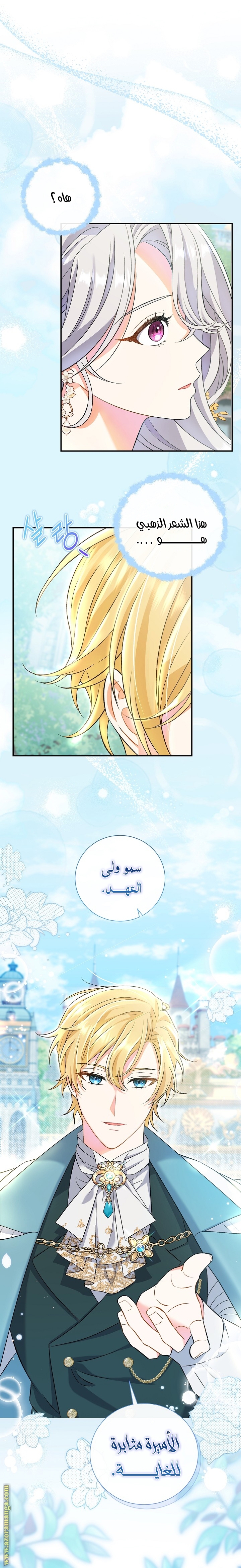 الصفحة 11