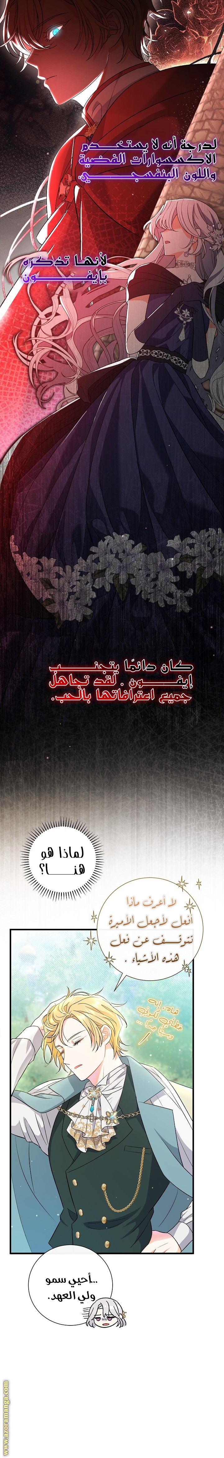 الصفحة 13