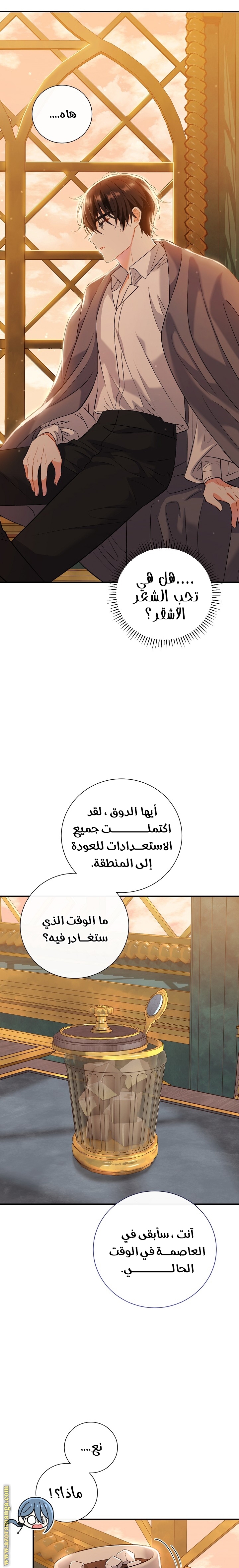 الصفحة 11