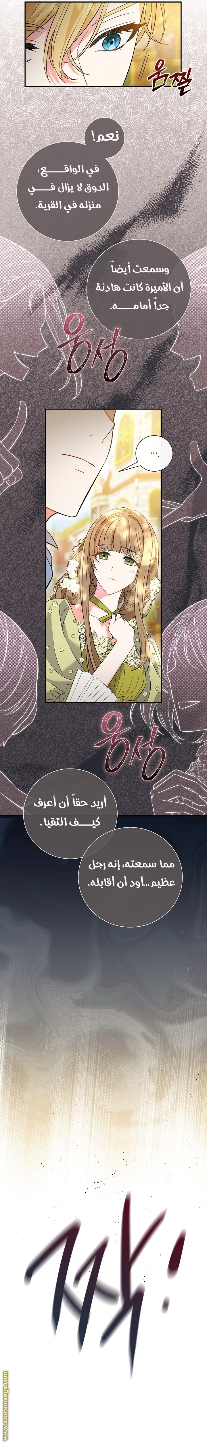 الصفحة 17