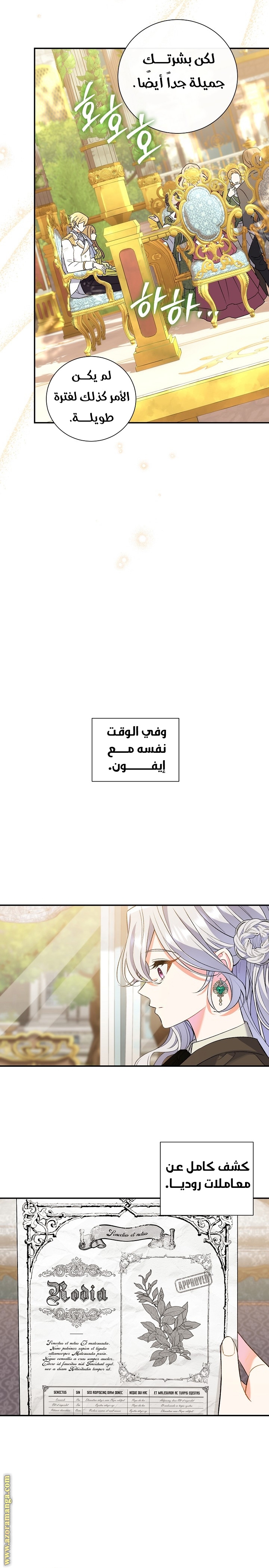 الصفحة 19