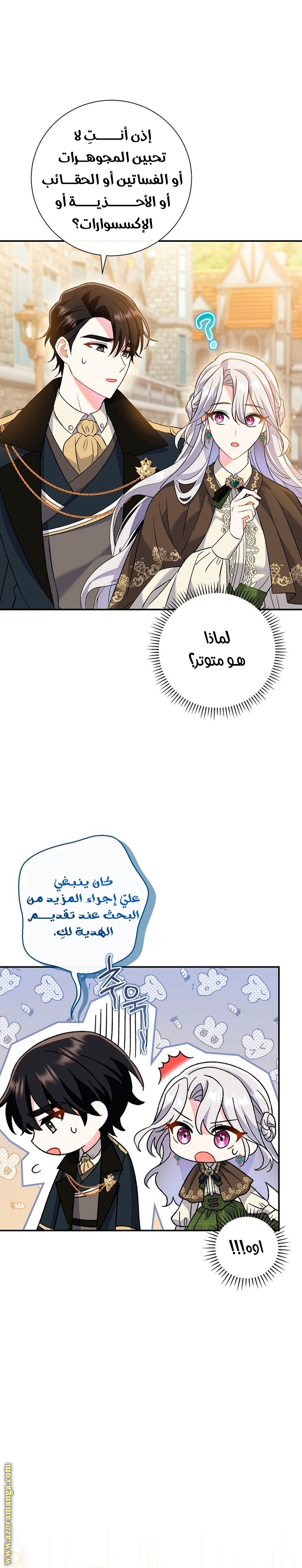 الصفحة 17