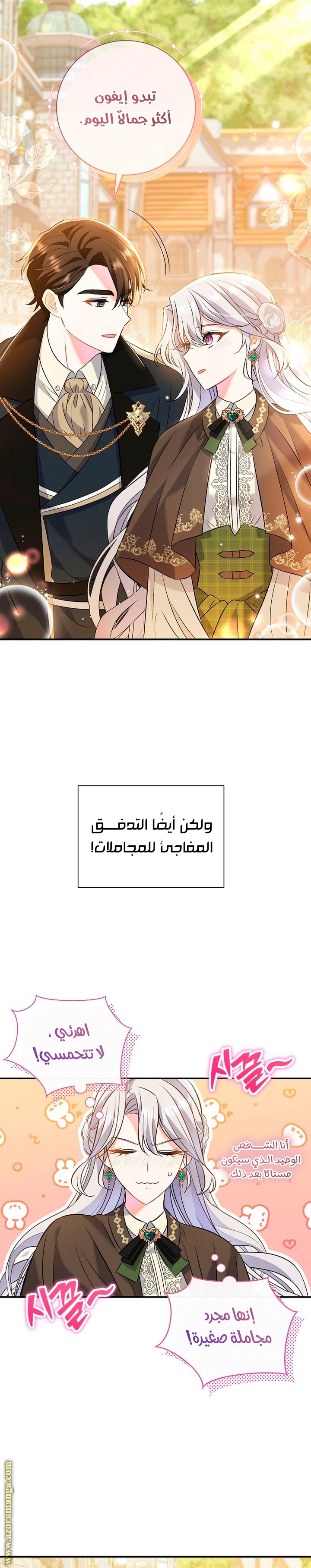 الصفحة 22