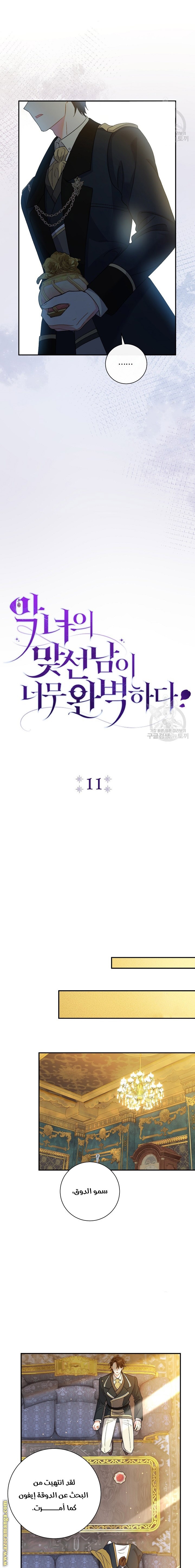 الصفحة 11