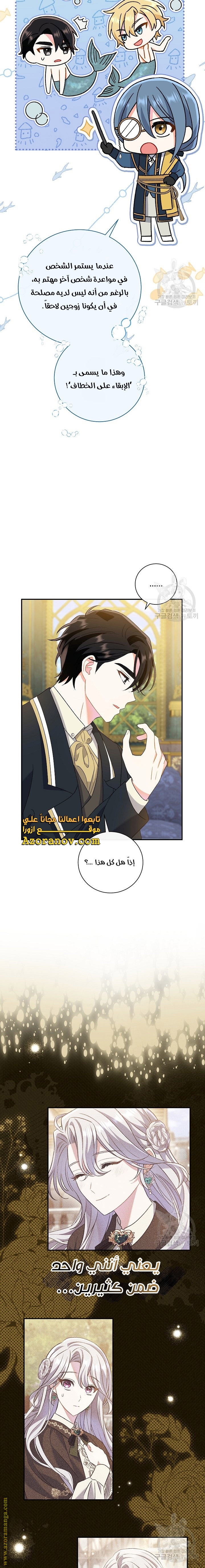 الصفحة 17