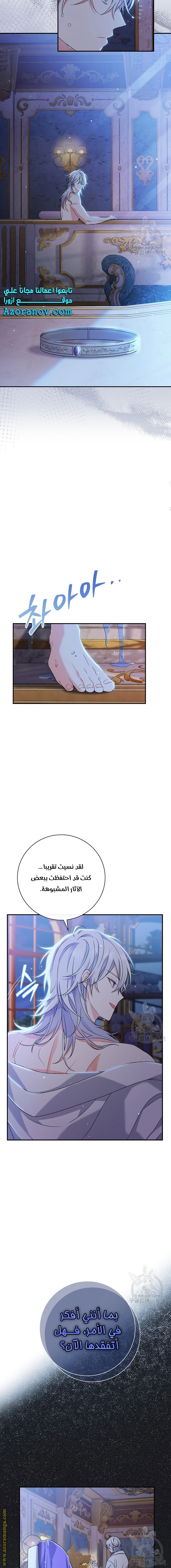 الصفحة 25