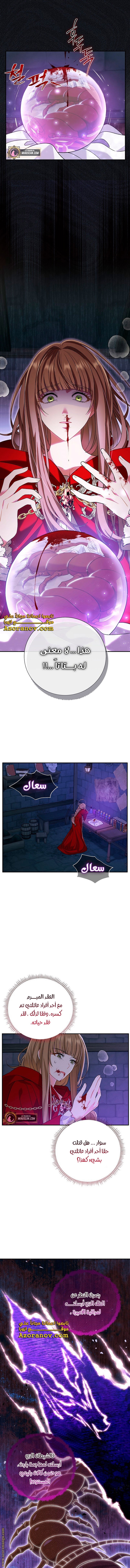 الصفحة 19