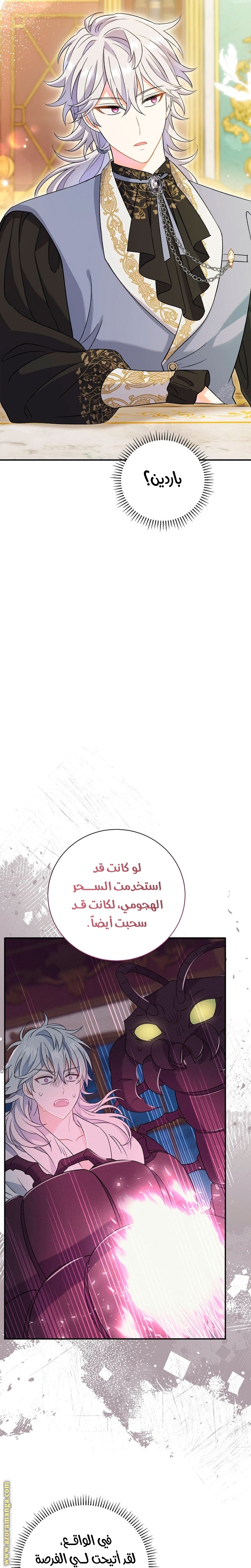 الصفحة 19