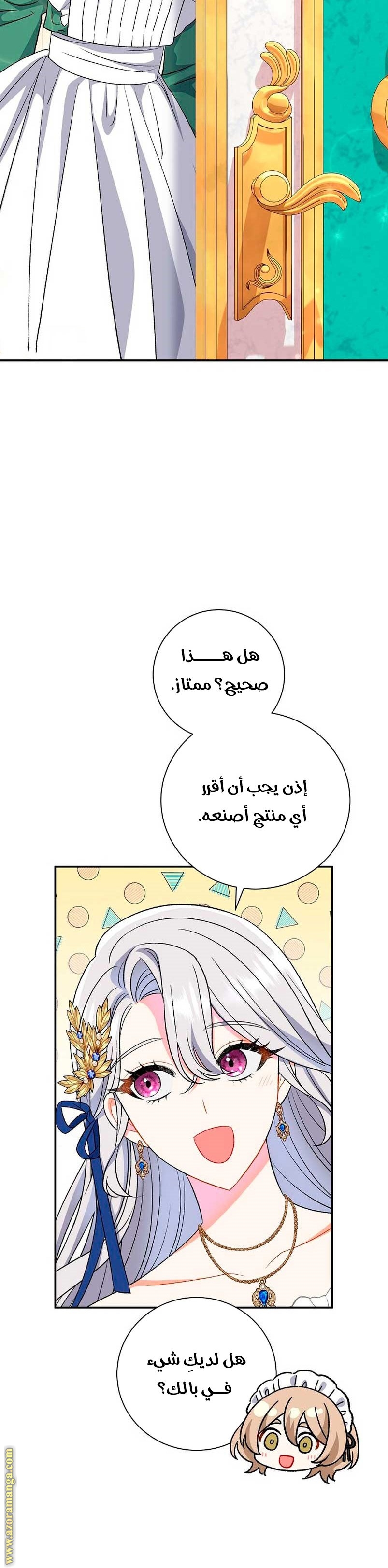 الصفحة 29
