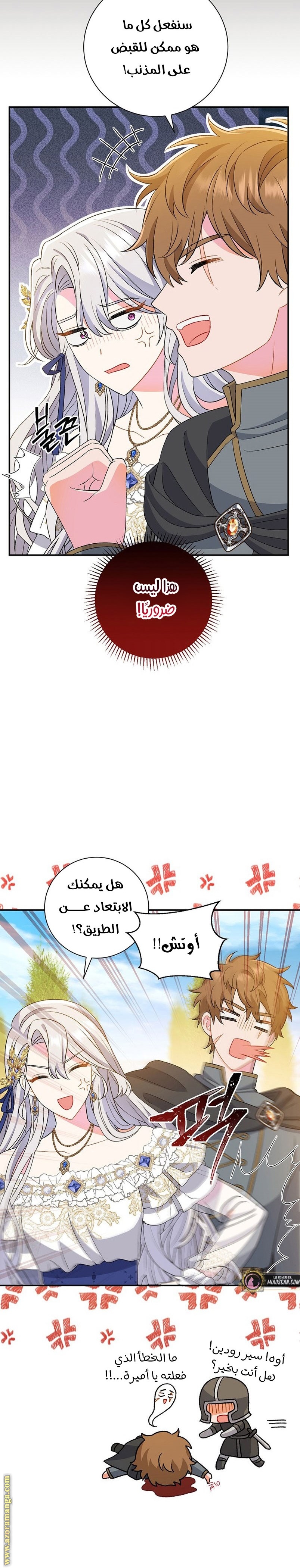 الصفحة 16