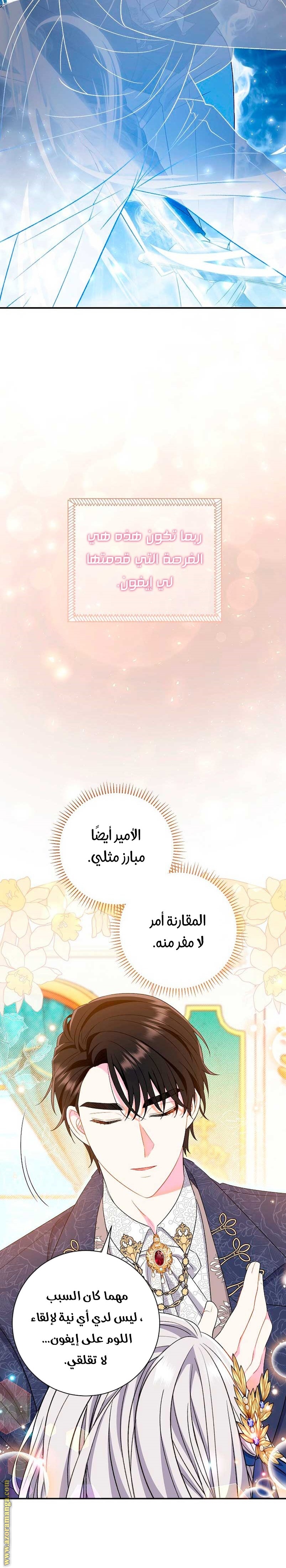 الصفحة 13