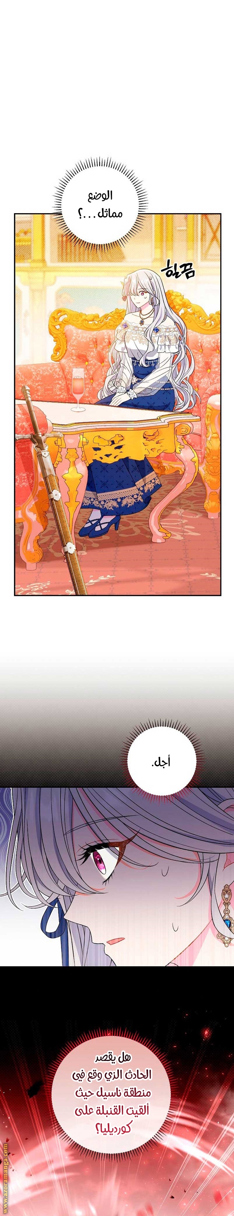 الصفحة 17