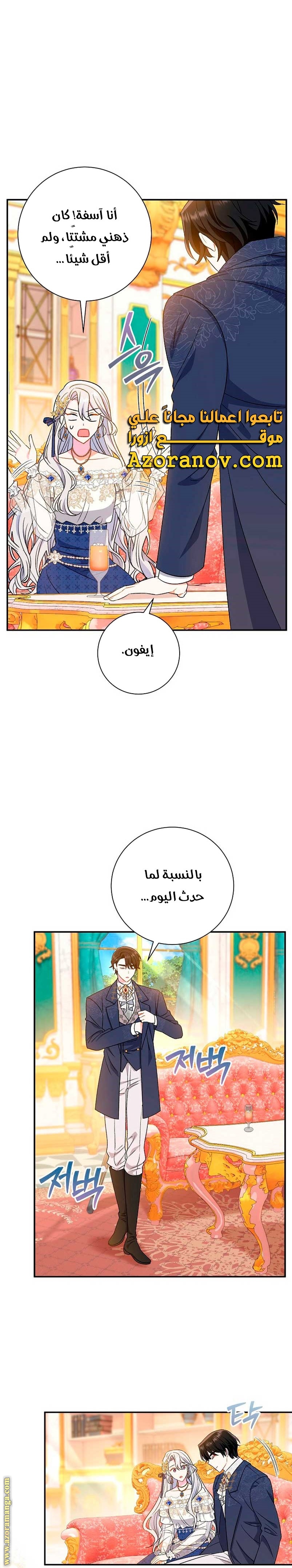 الصفحة 25