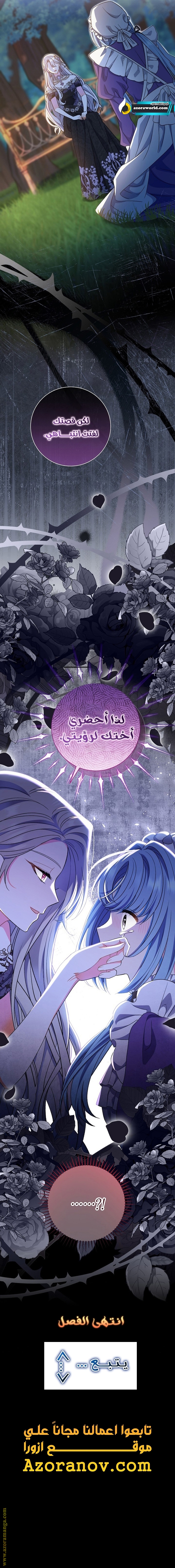 الصفحة 26
