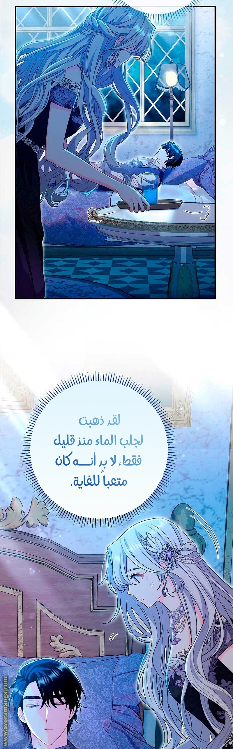 الصفحة 17