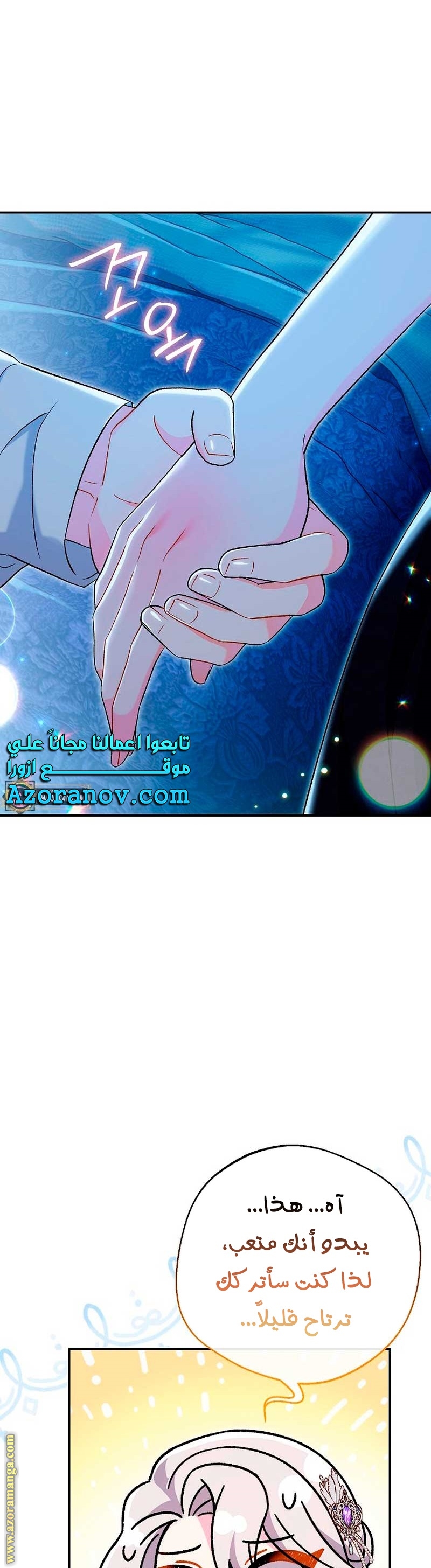 الصفحة 26