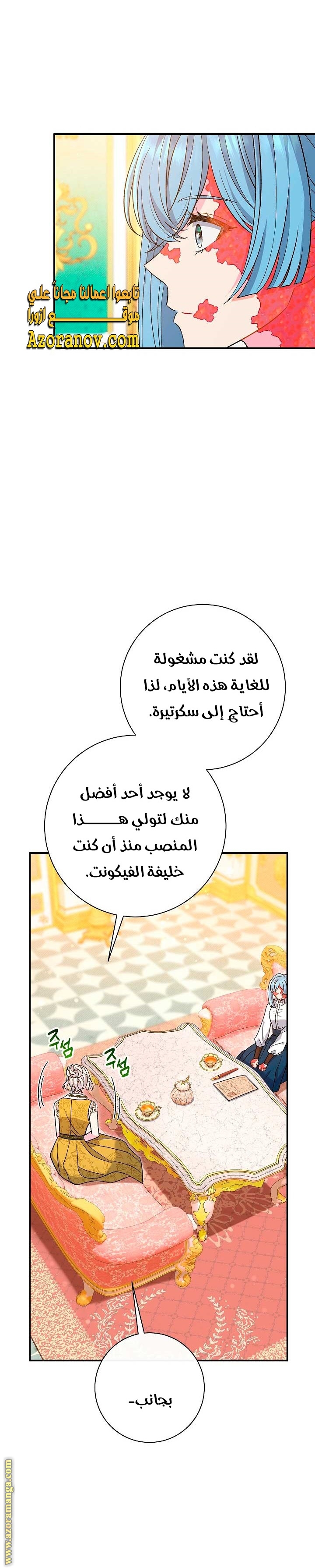 الصفحة 29