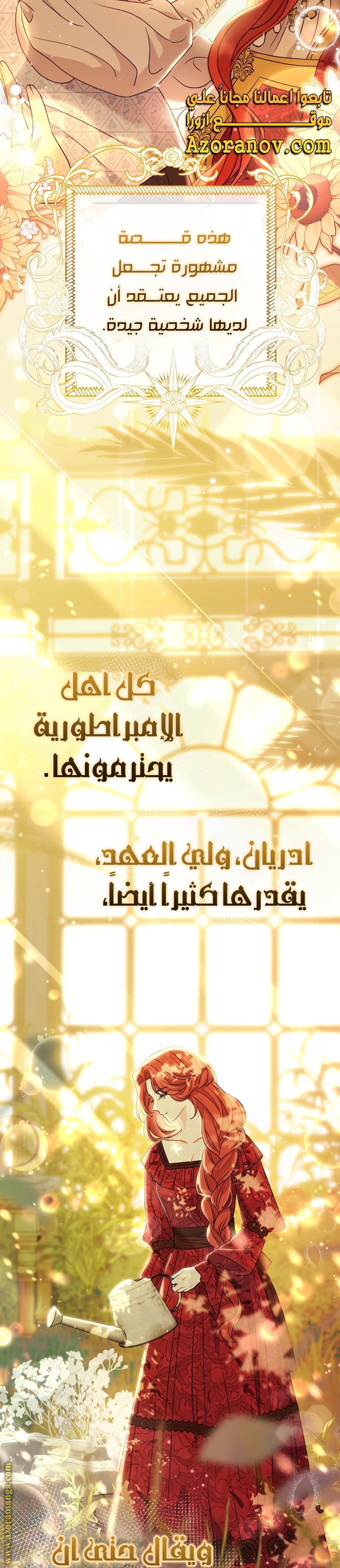 الصفحة 17