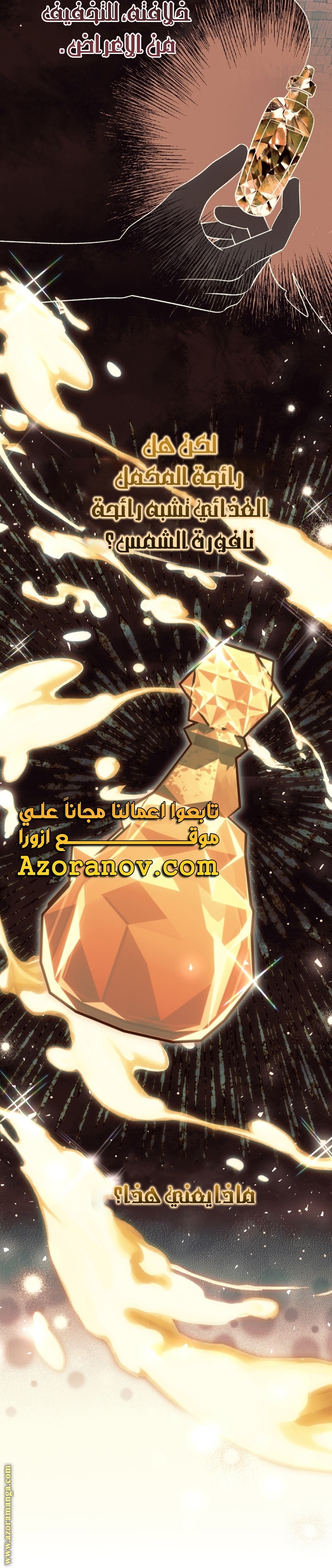 الصفحة 29