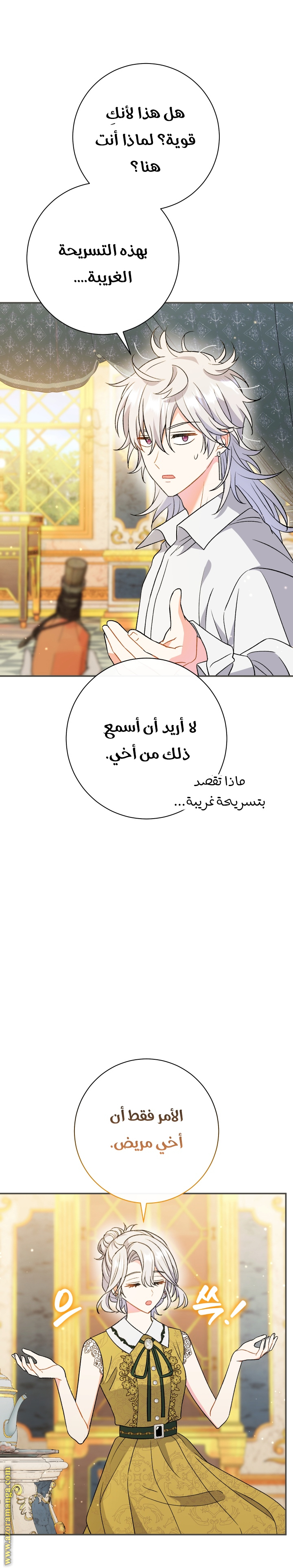 الصفحة 16