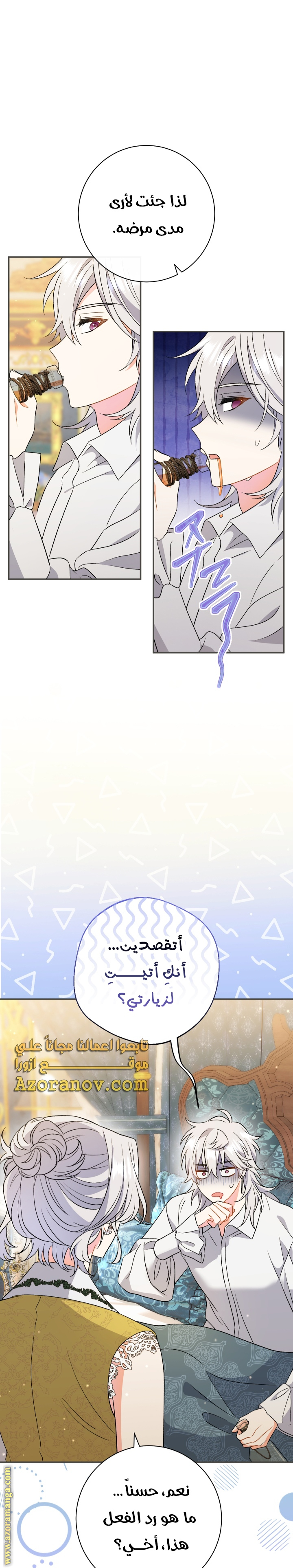 الصفحة 17