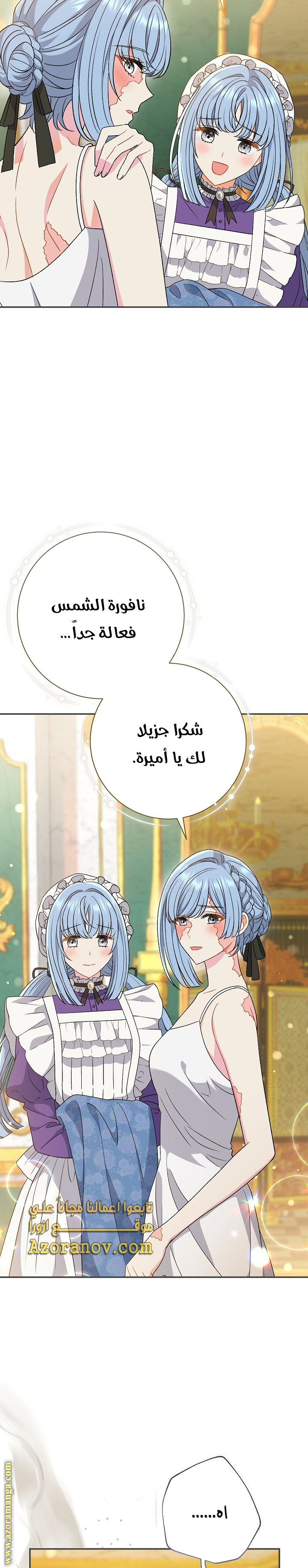 الصفحة 17