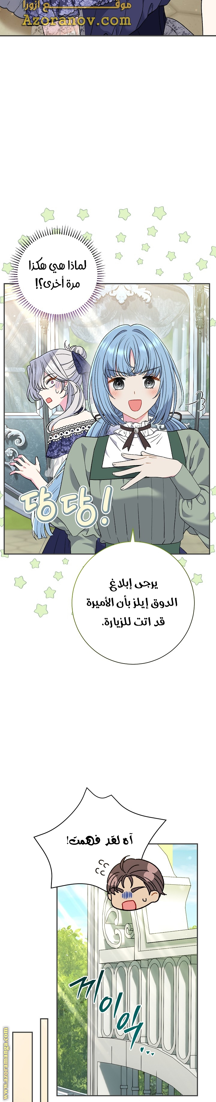 الصفحة 29