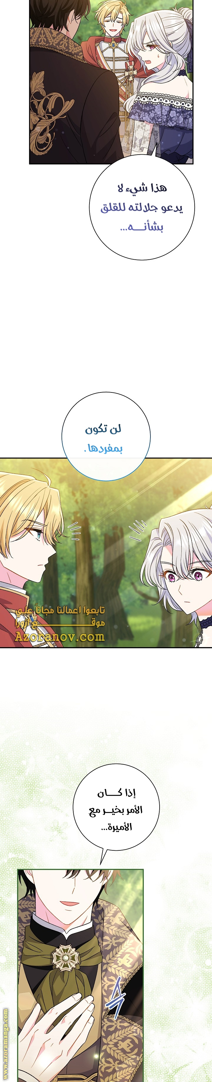 الصفحة 17