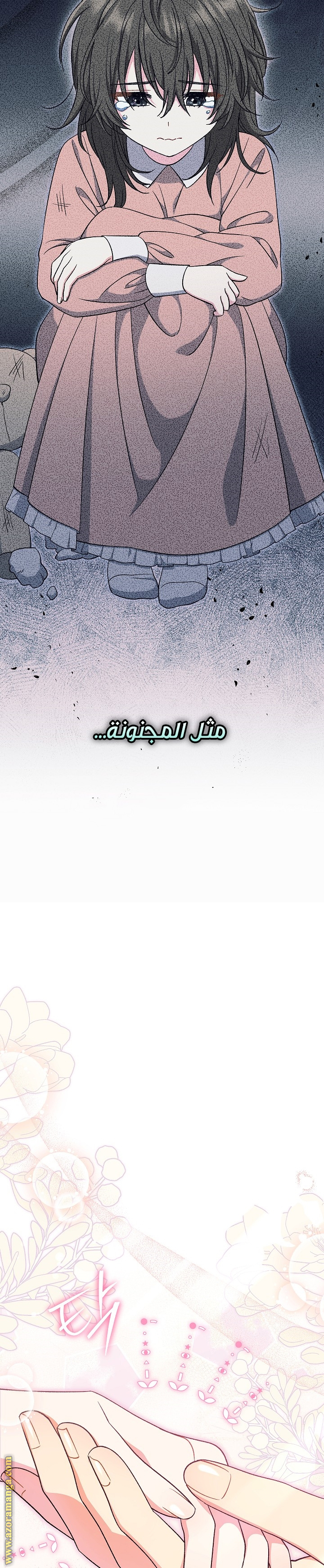 الصفحة 25