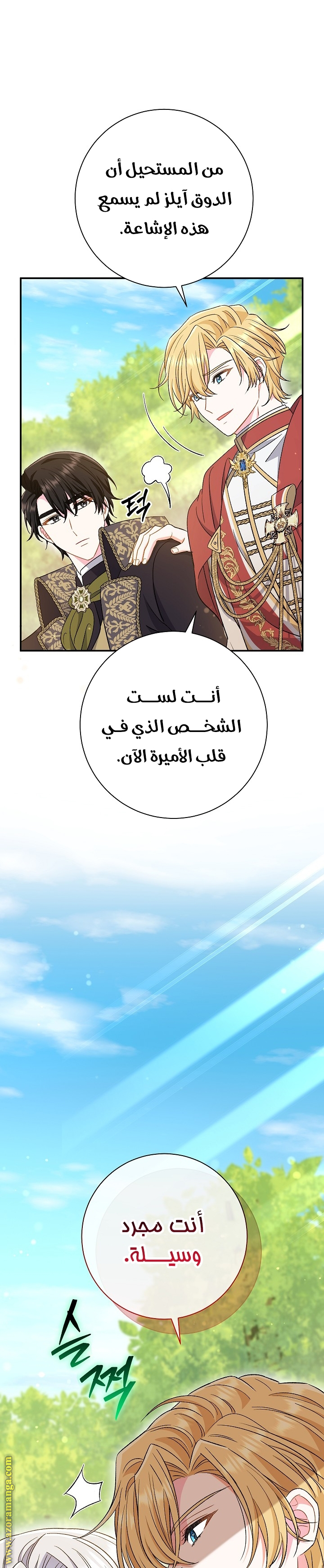 الصفحة 29