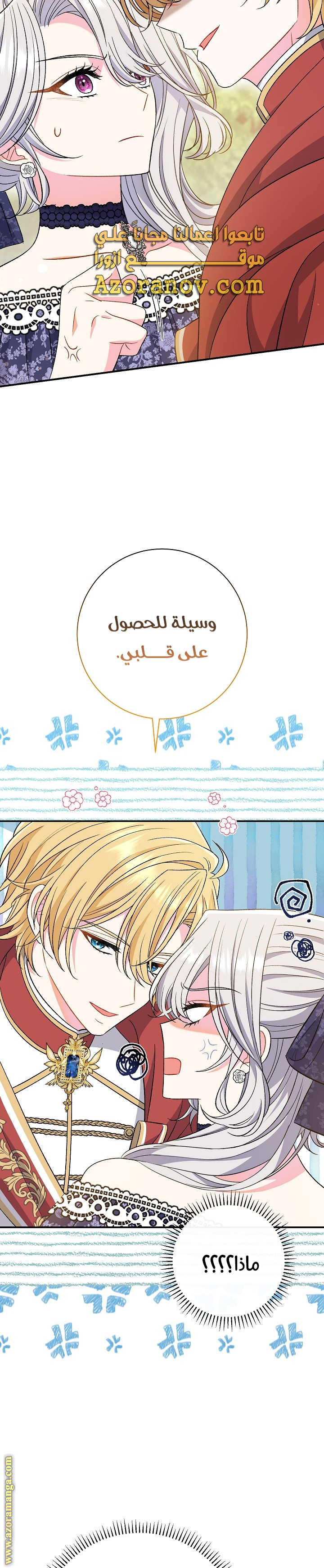 الصفحة 30