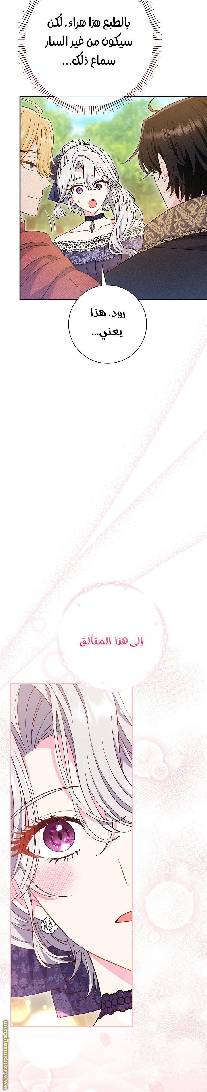 الصفحة 31