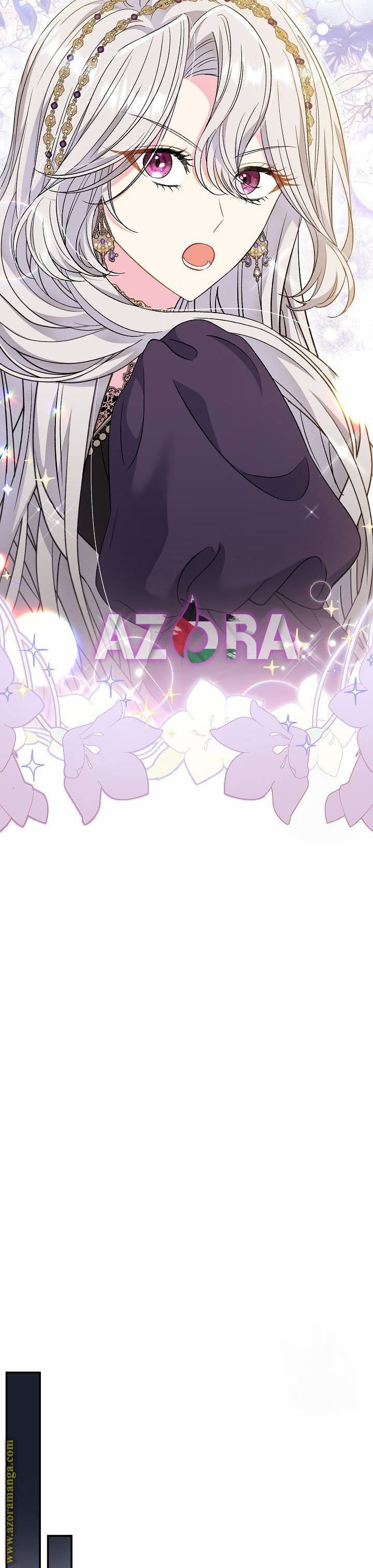 الصفحة 43