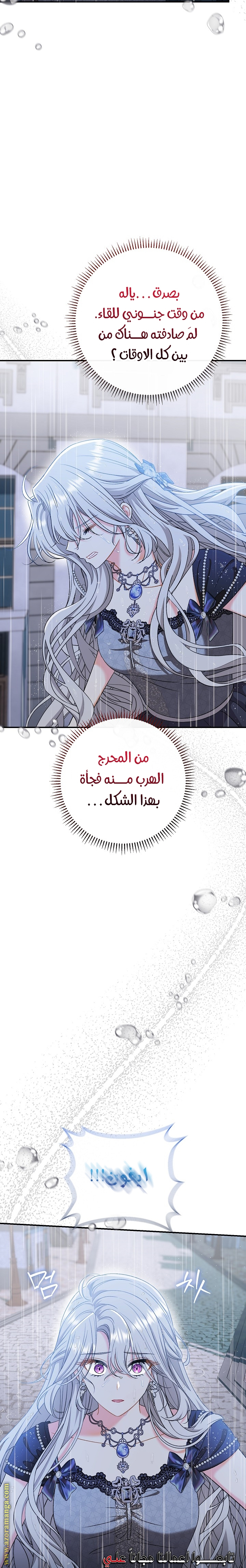 الصفحة 29