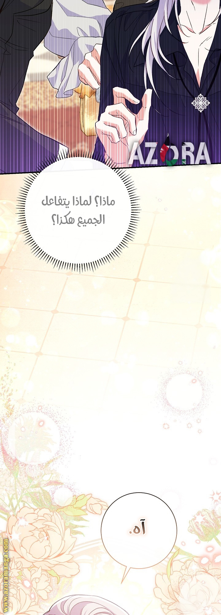 الصفحة 17